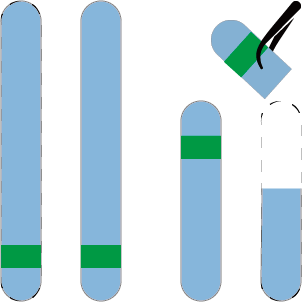AssemblyMapper